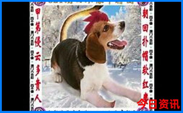 夏天哪个城市凉快适合避暑